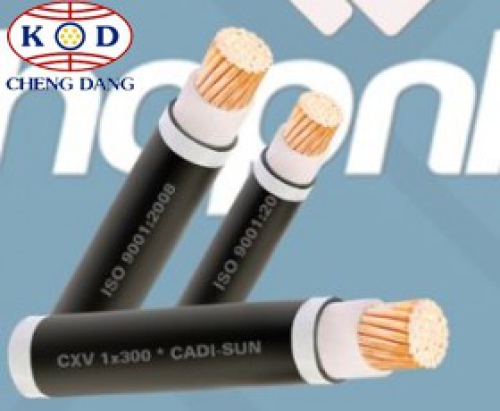 Cáp đồng cách điện xlpe và vỏ bọc PVC - 12/20(24)KV